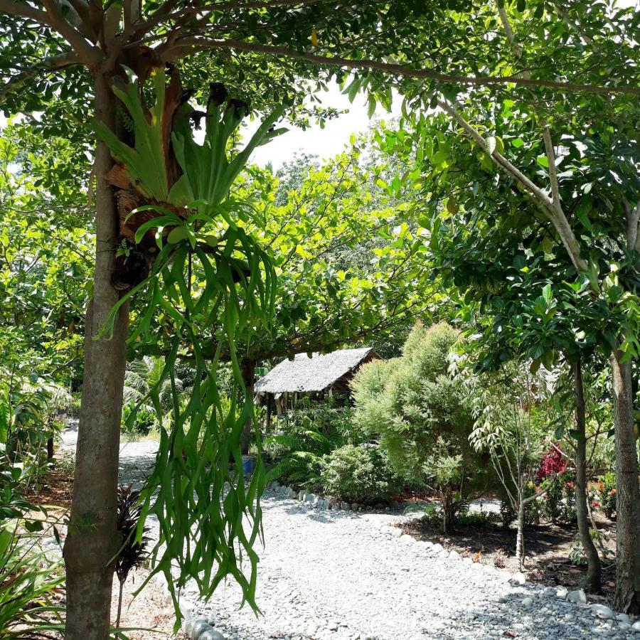 Magpie Homestay & Jungle Trekking Only For Guest Trekking With Us 武吉拉旺 外观 照片