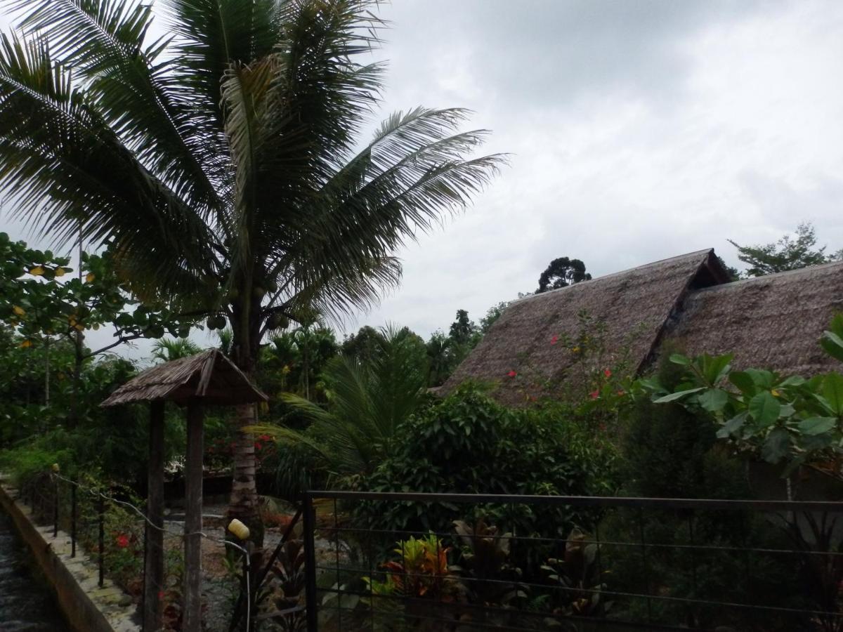Magpie Homestay & Jungle Trekking Only For Guest Trekking With Us 武吉拉旺 外观 照片