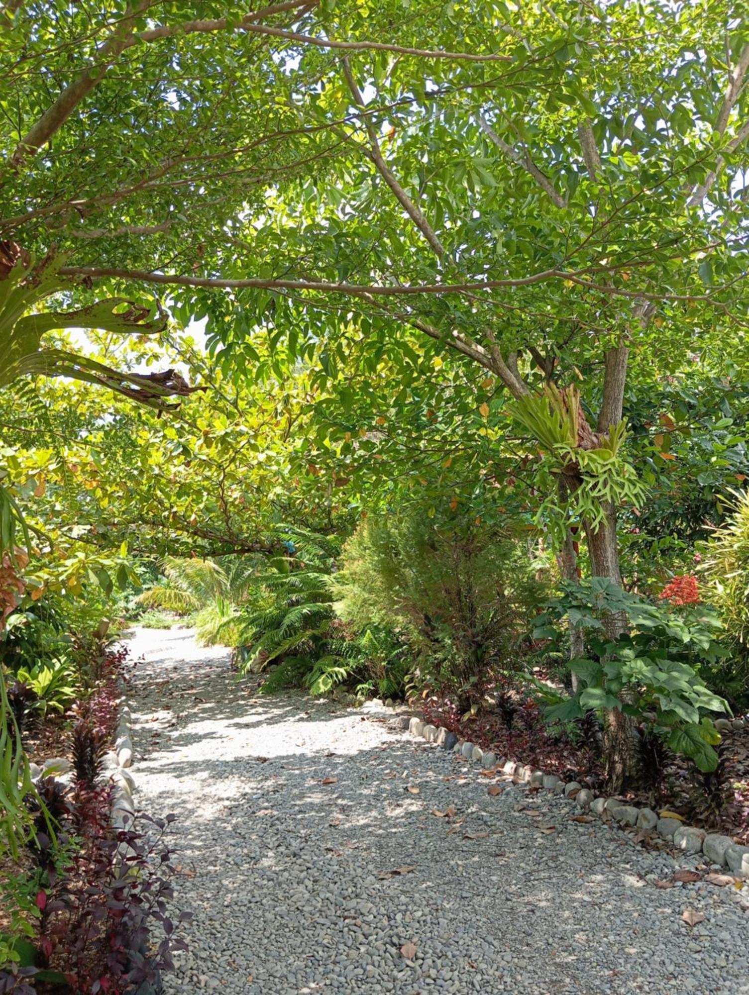 Magpie Homestay & Jungle Trekking Only For Guest Trekking With Us 武吉拉旺 外观 照片