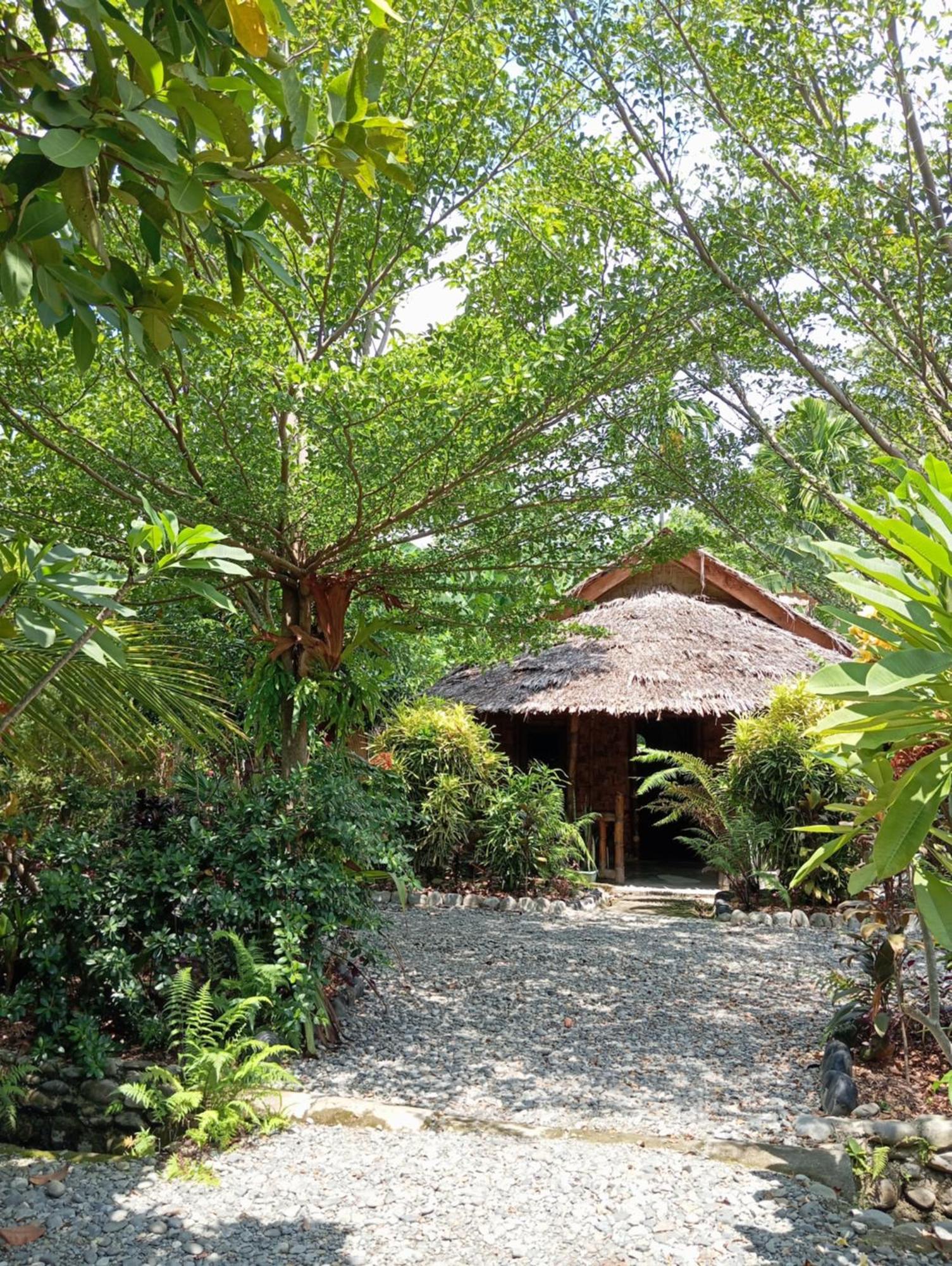 Magpie Homestay & Jungle Trekking Only For Guest Trekking With Us 武吉拉旺 外观 照片
