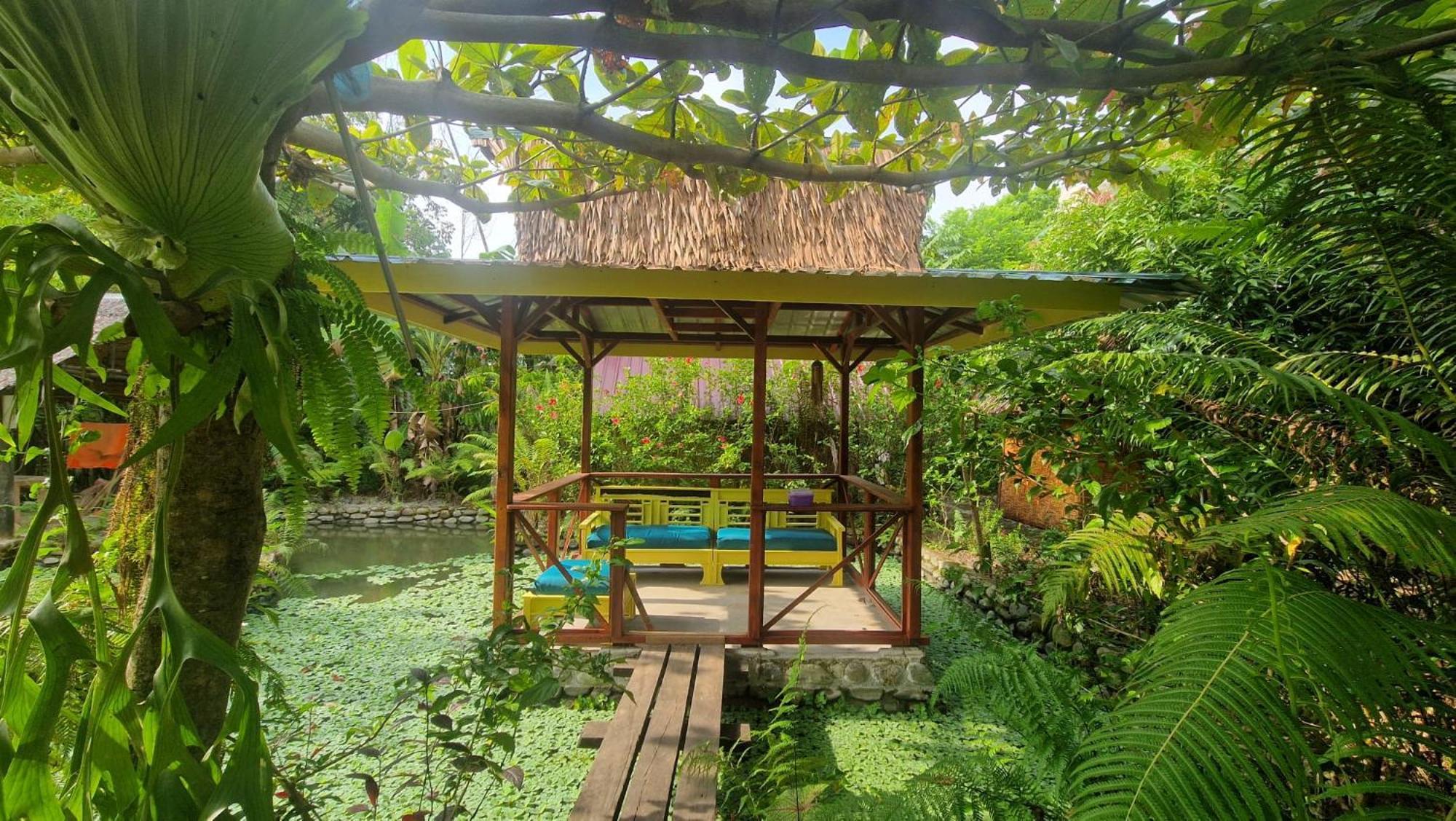 Magpie Homestay & Jungle Trekking Only For Guest Trekking With Us 武吉拉旺 外观 照片