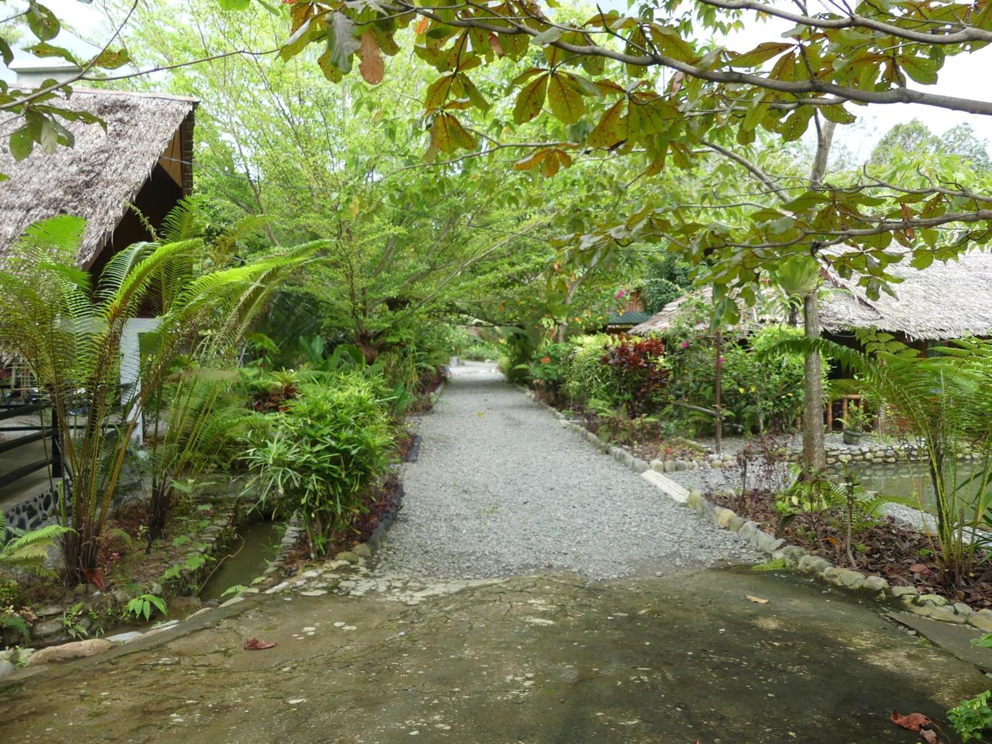 Magpie Homestay & Jungle Trekking Only For Guest Trekking With Us 武吉拉旺 外观 照片
