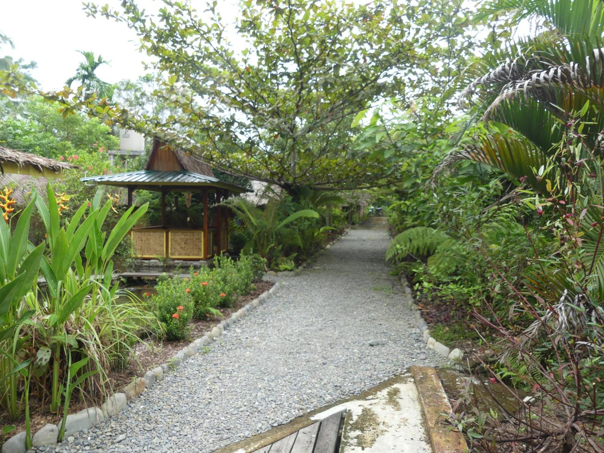 Magpie Homestay & Jungle Trekking Only For Guest Trekking With Us 武吉拉旺 客房 照片