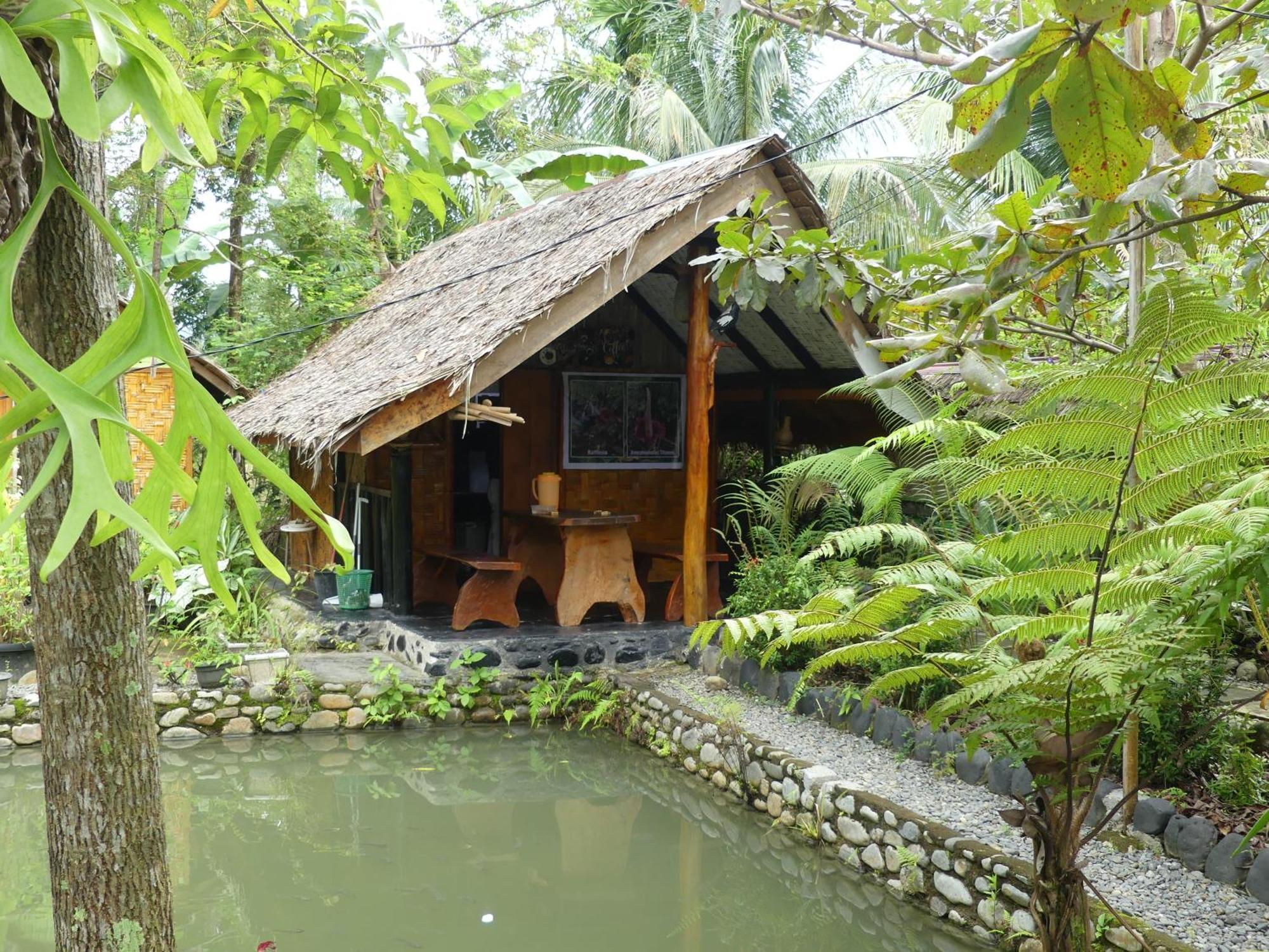 Magpie Homestay & Jungle Trekking Only For Guest Trekking With Us 武吉拉旺 外观 照片